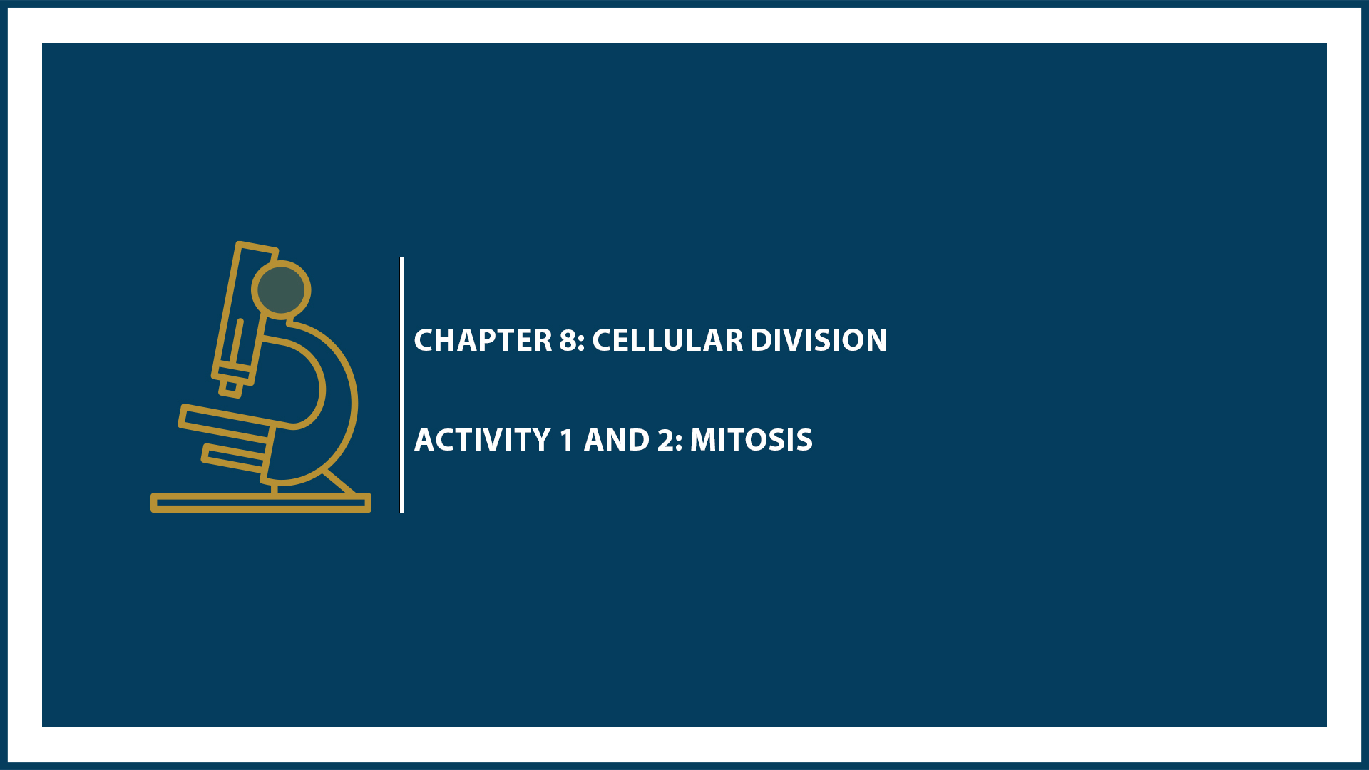 Chapter 8: Activity 1 and 2: Mitosis
